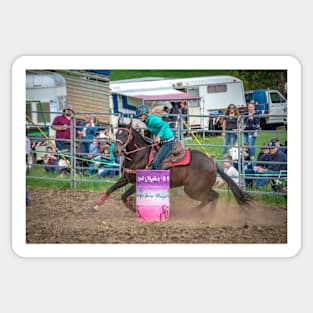 RODEOS, HORSES, COWBOYS Sticker